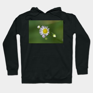 Wild flowers Hoodie